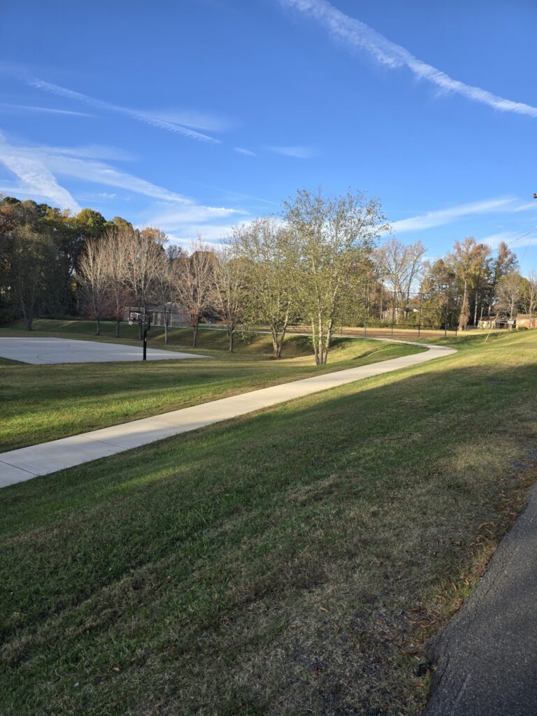 Local Park 